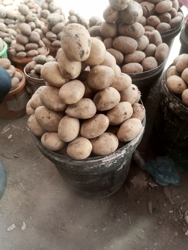 Bokkos Irish Potatoes