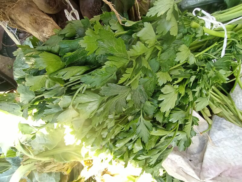 fresh parsley