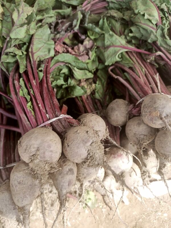 Fresh Beetroots