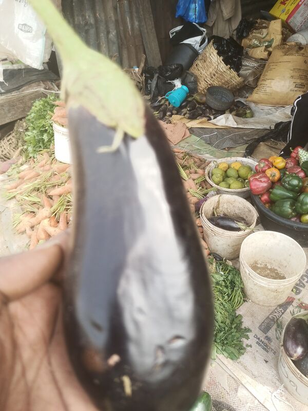 Eggplant
