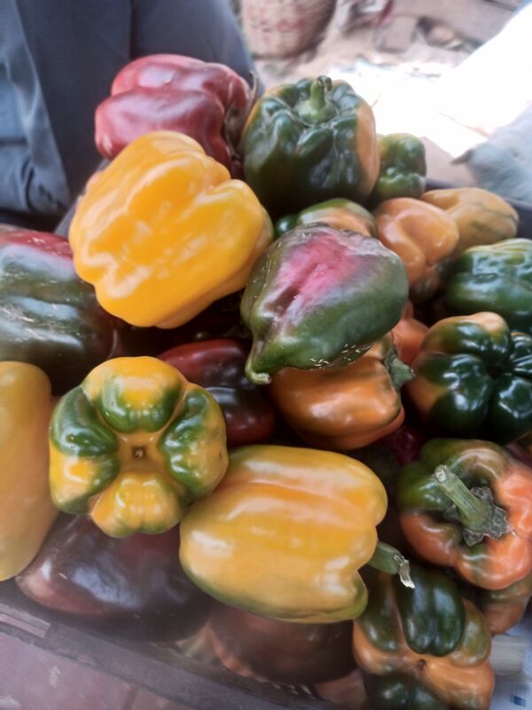 Mixed Bell Peppers