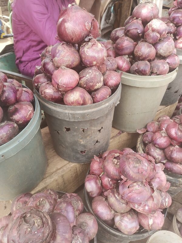 Premium Purple Onions
